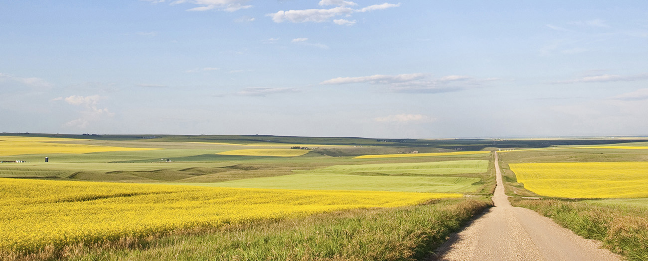 Alberta Energy Regulator